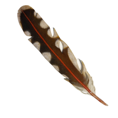 Click to view detail for LM-005 